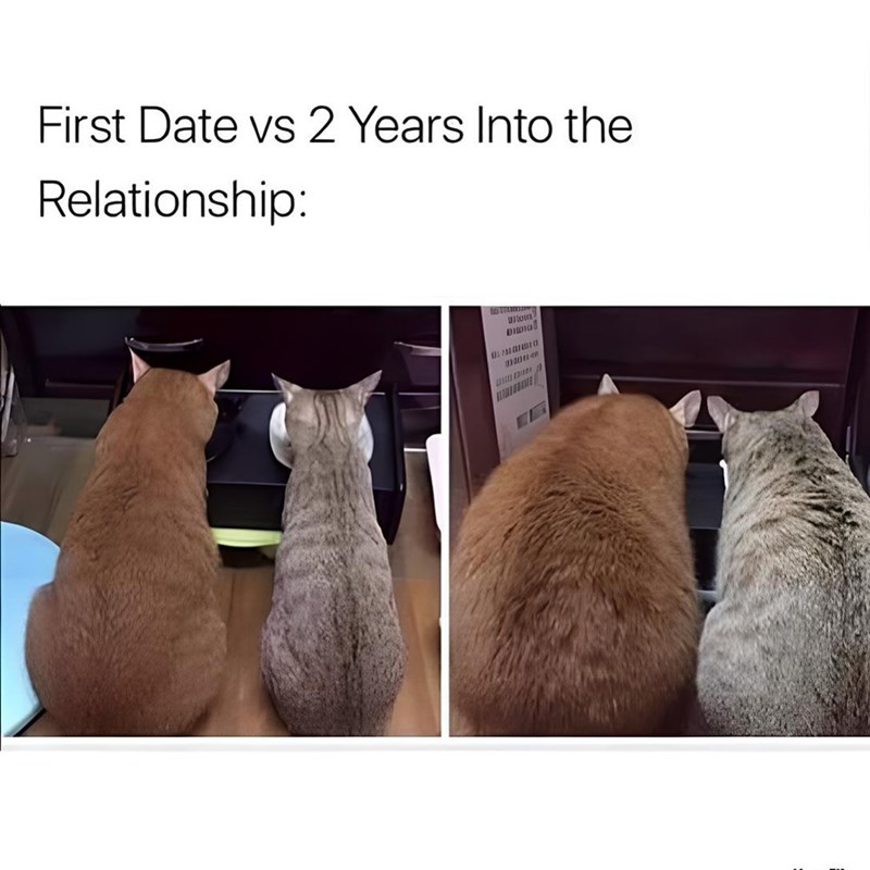 First Date vs 2 Years Into the Relationship: Wom DIDIG டேவமைா