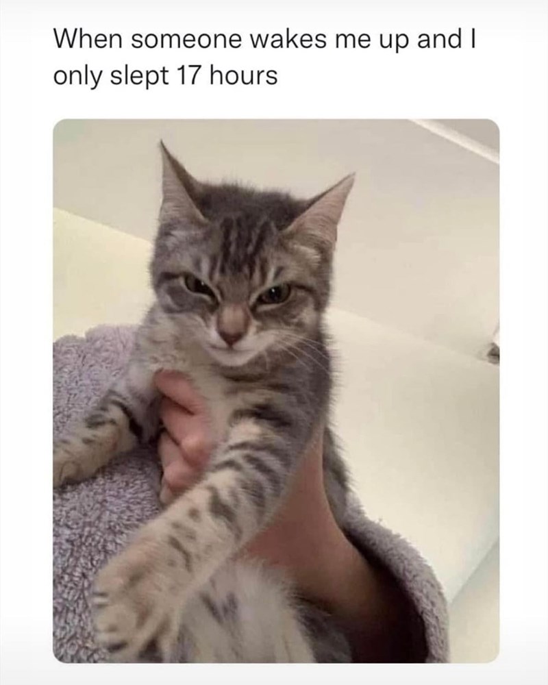 When someone wakes me up and I only slept 17 hours
