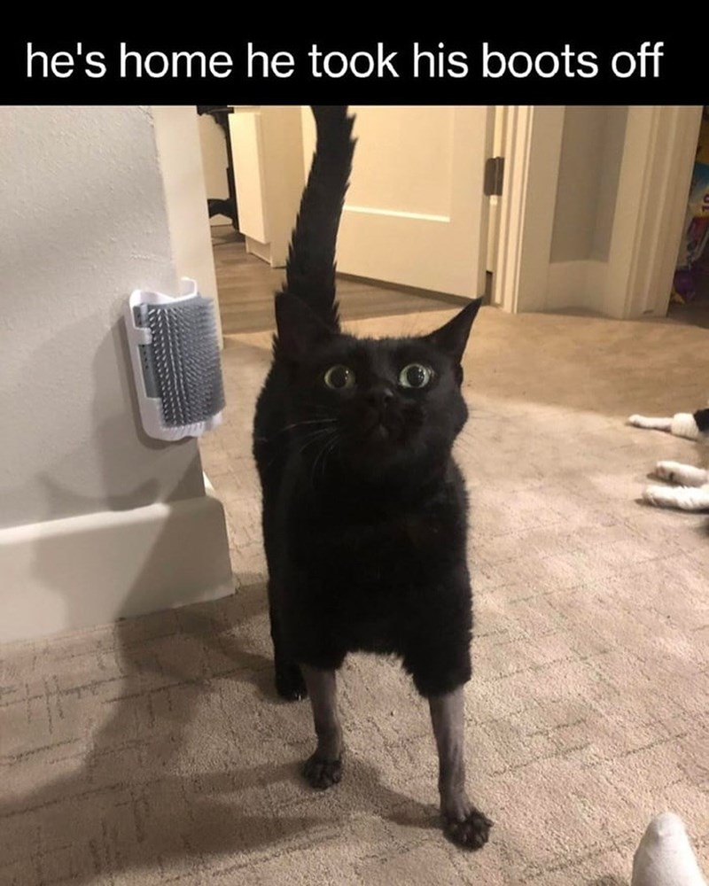 he's home he took his boots off