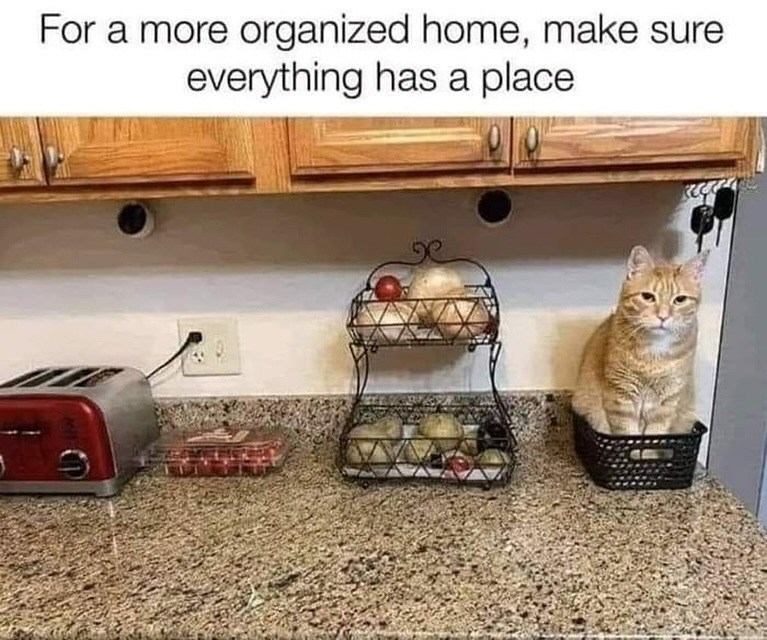 For a more organized home, make sure everything has a place