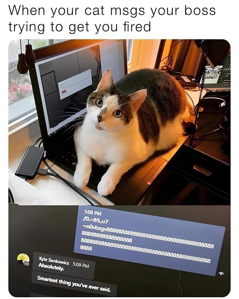 When your cat msgs your boss trying to get you fired. O 5:08 PM /0.-89_u7 =n0vbzgv8888888888 88888888888888888 88888888888 8888 Kyle Sankowicz 5:09 PM Absolutely. Smartest thing you've ever said. 888