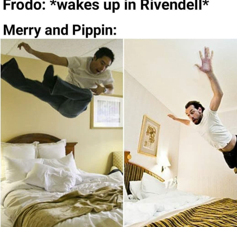 Frodo: *wakes up in Rivendell* Merry and Pippin: