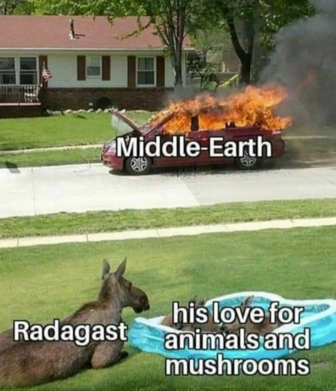 Middle-Earth his love for Radagast animals and mushrooms