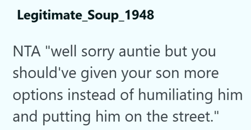 Legitimate_Soup_1948 NTA "well sorry auntie but you should've given your son more options instead of humiliating him and putting him on the street."