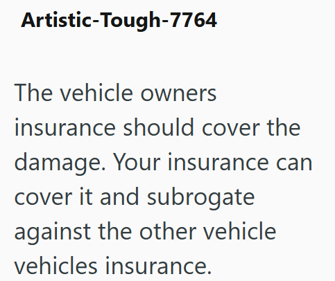 Artistic-Tough-7764 The vehicle owners insurance should cover the damage. Your insurance can cover it and subrogate against the other vehicle vehicles insurance.