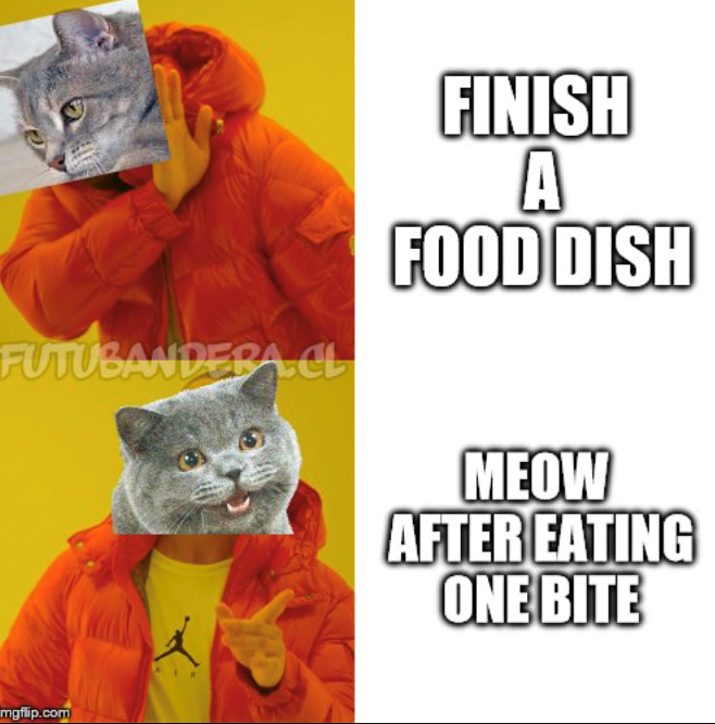 FUTUBANDERA.CL FINISH A FOOD DISH mgflip.com MEOW AFTER EATING ONE BITE