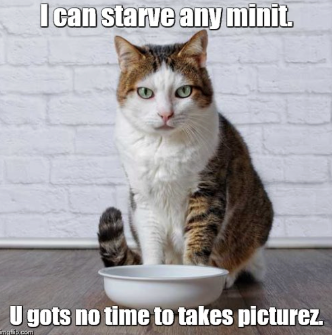 I can starve any minit. U gots no time to takes picturez imgflip.com