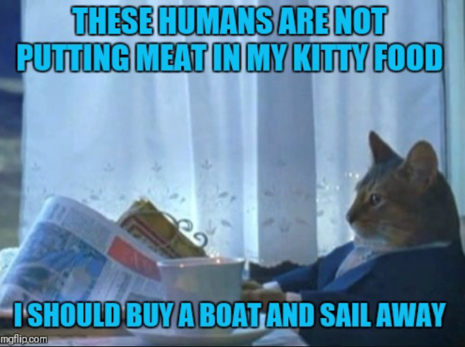 THESE HUMANS ARE NOT PUTTING MEAT IN MY KITTY FOOD I SHOULD BUY A BOAT AND SAIL AWAY mgflip.com