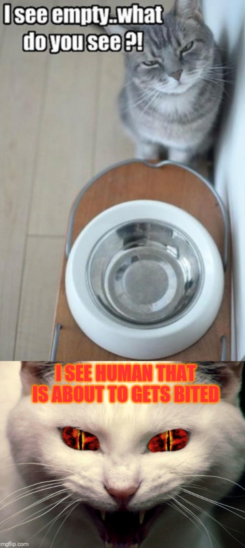 I see empty...what do you see?! mgflip.com ISEE HUMAN THAT IS ABOUT TO GETS BITED