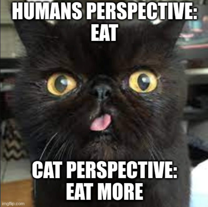 HUMANS PERSPECTIVE: EAT imgflip.com CAT PERSPECTIVE: EAT MORE