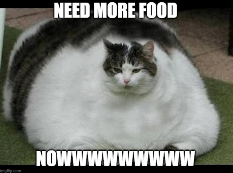 imgflip.com NEED MORE FOOD NOWWWWWWwww