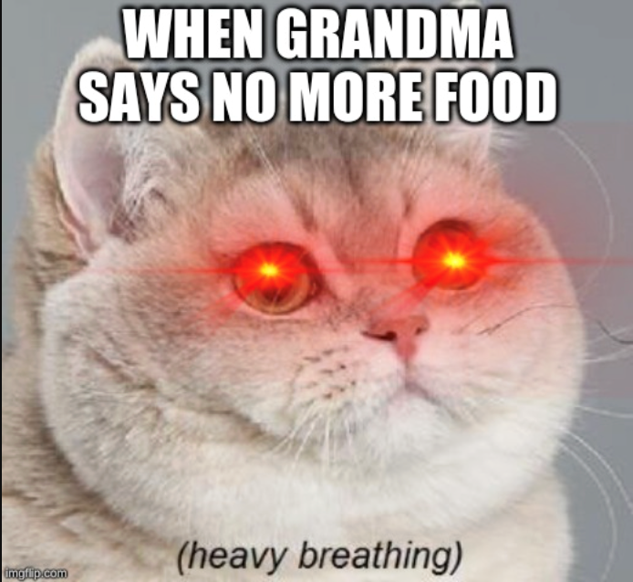 imgflip.com WHEN GRANDMA SAYS NO MORE FOOD (heavy breathing)