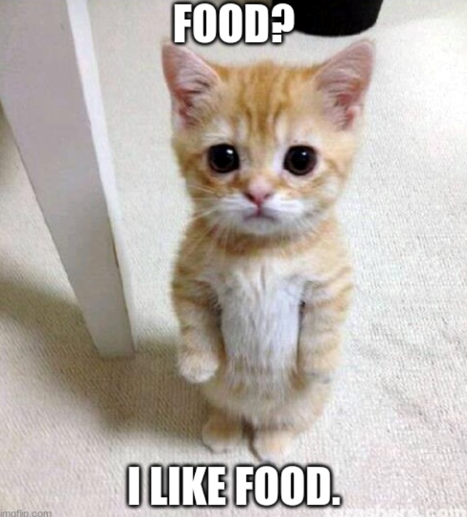 imgflip.com FOOD? I LIKE FOOD.
