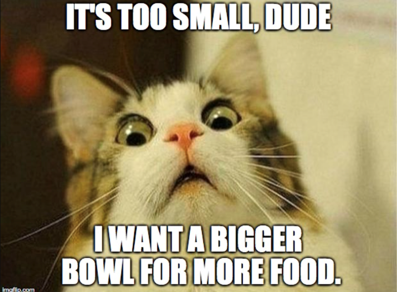 IT'S TOO SMALL, DUDE imaflip.com I WANT A BIGGER BOWL FOR MORE FOOD.