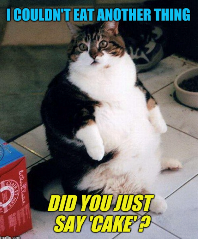 I COULDN'T EAT ANOTHER THING CLAIR maflip.com DID YOU JUST SAY CAKE'?