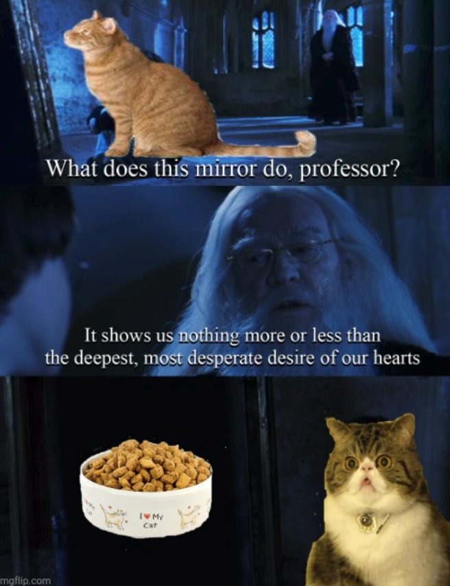 What does this mirror do, professor? It shows us nothing more or less than the deepest, most desperate desire of our hearts mgflip.com I♥MY Cat