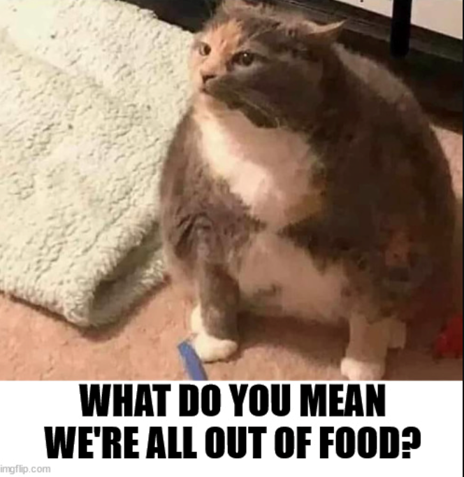 imgflip.com WHAT DO YOU MEAN WE'RE ALL OUT OF FOOD?