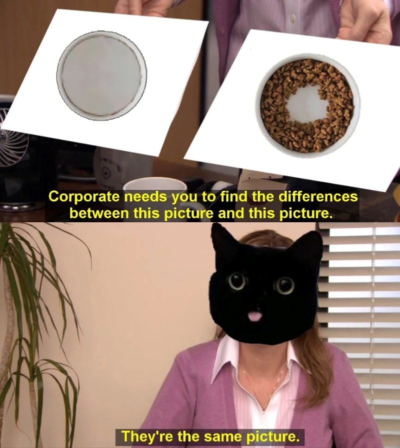 Corporate needs you to find the differences between this picture and this picture. They're the same picture.