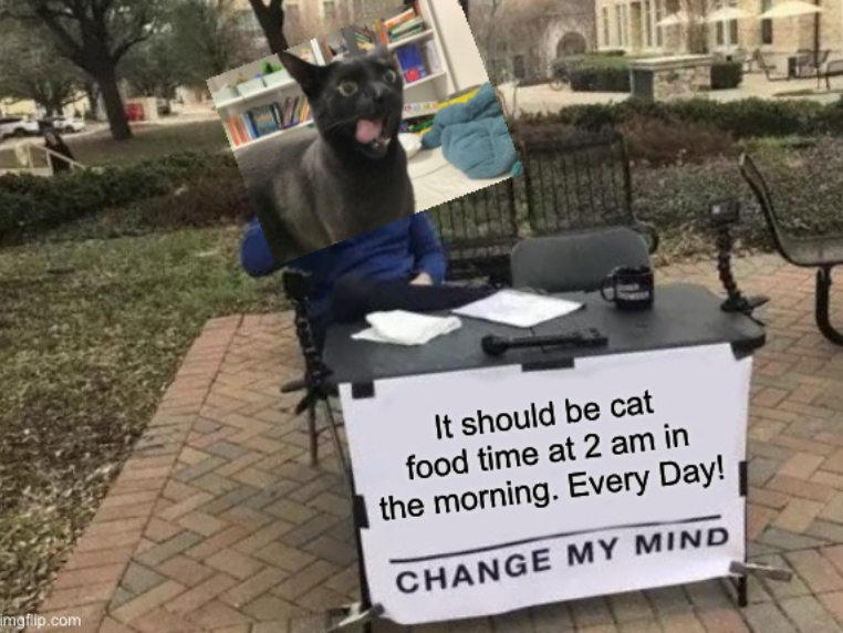 imgflip.com It should be cat food time at 2 am in the morning. Every Day! CHANGE MY MIND