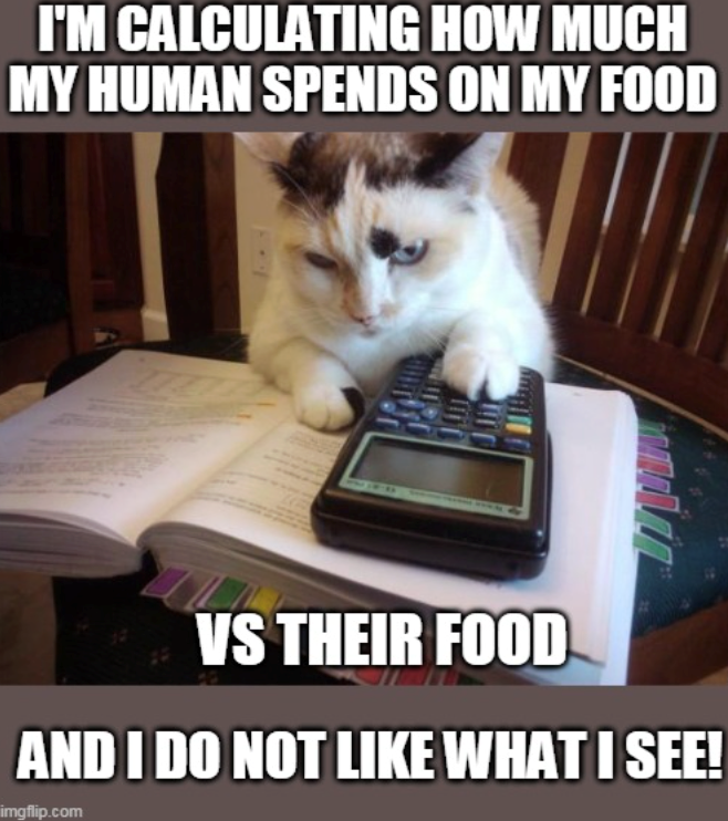 I'M CALCULATING HOW MUCH MY HUMAN SPENDS ON MY FOOD VS THEIR FOOD AND I DO NOT LIKE WHAT I SEE! imgflip.com