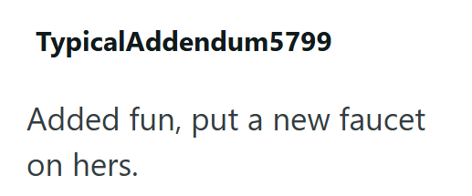 TypicalAddendum5799 Added fun, put a new faucet on hers.
