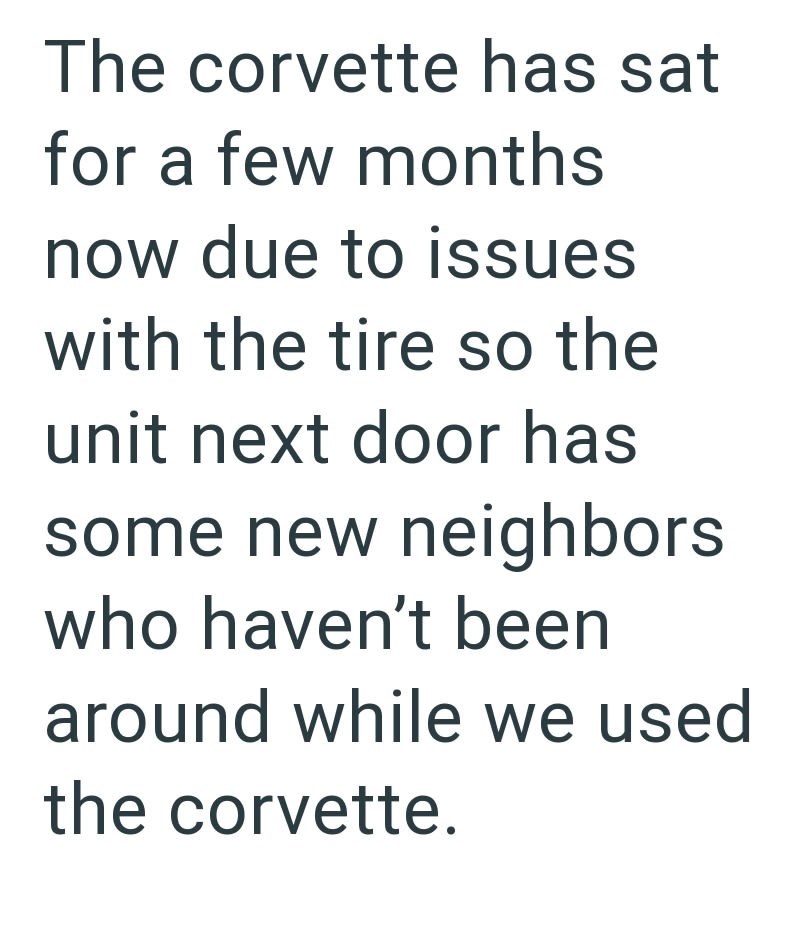 The corvette has sat for a few months now due to issues with the tire so the unit next door has some new neighbors. who haven't been around while we used the corvette.