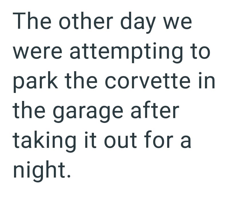The other day we were attempting to park the corvette in the garage after taking it out for a night.