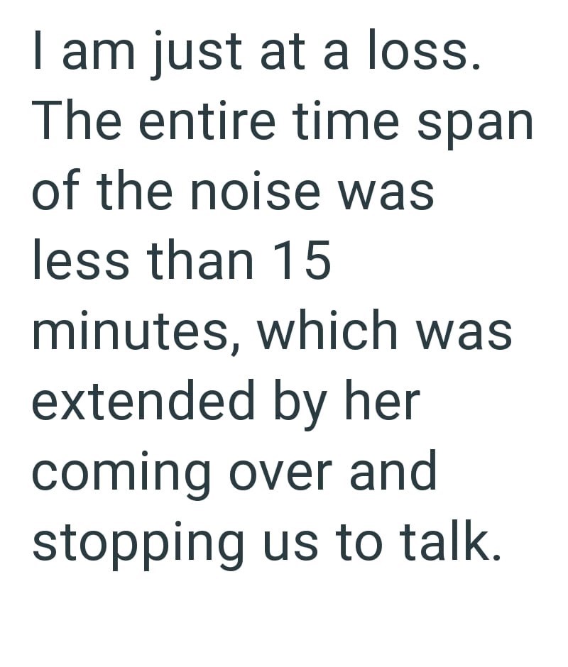 I am just at a loss. The entire time span of the noise was less than 15 minutes, which was extended by her coming over and stopping us to talk.