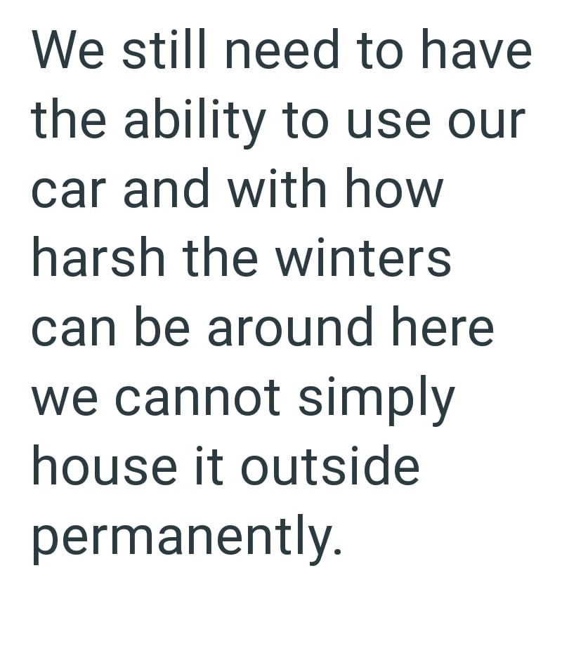We still need to have the ability to use our car and with how harsh the winters can be around here we cannot simply house it outside permanently.
