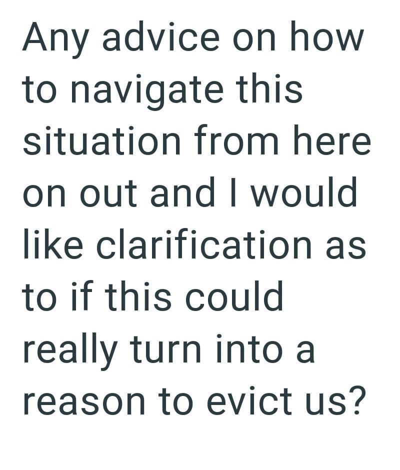 Any advice on how to navigate this situation from here on out and I would like clarification as to if this could really turn into a reason to evict us?