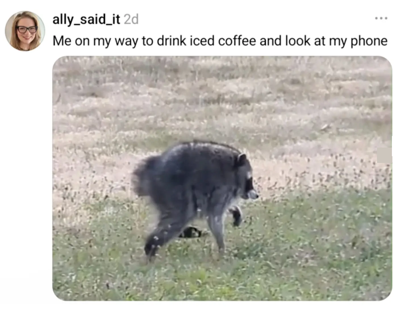 ally_said_it 2d Me on my way to drink iced coffee and look at my phone