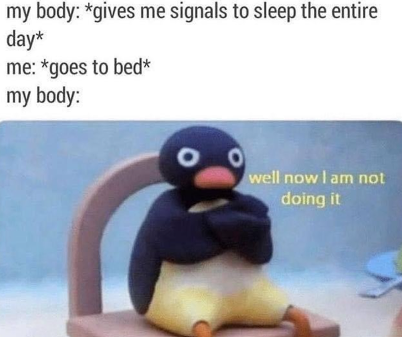 my body: *gives me signals to sleep the entire day* me: *goes to bed* my body: O well now I am not doing it