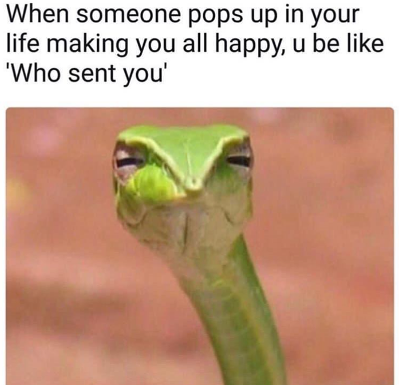 When someone pops up in your life making you all happy, u be like 'Who sent you'