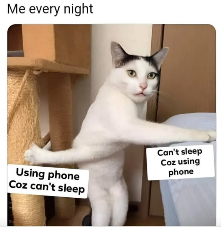 Me every night Using phone Coz can't sleep Can't sleep Coz using phone