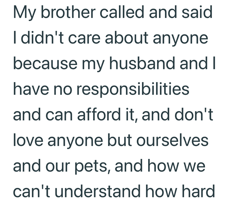 My brother called and said I didn't care about anyone because my husband and I have no responsibilities and can afford it, and don't love anyone but ourselves and our pets, and how we can't understand how hard