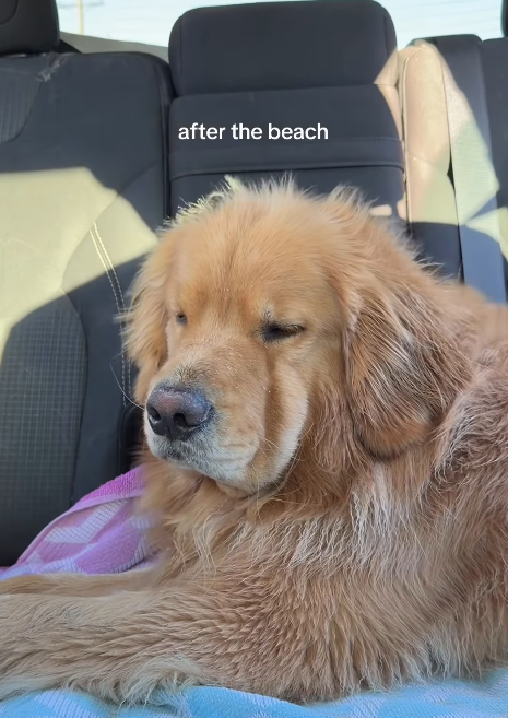 after the beach
