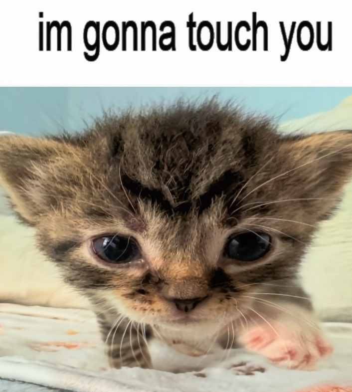 im gonna touch you