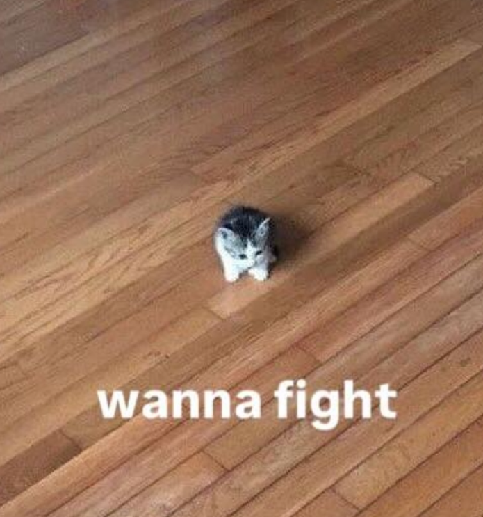 wanna fight