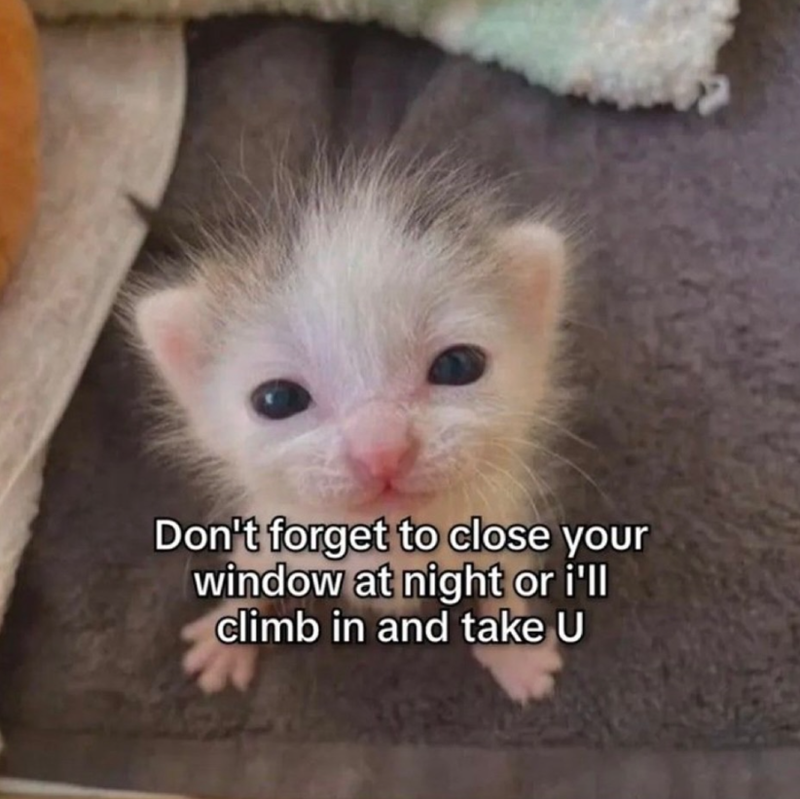 Don't forget to close your window at night or i'll climb in and take U