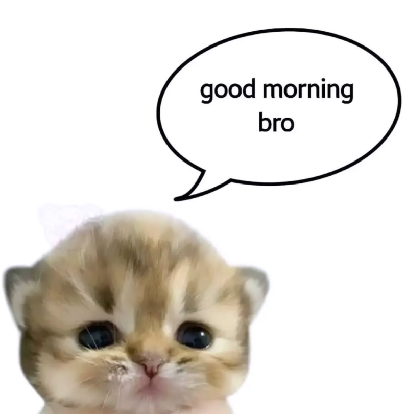 good morning bro