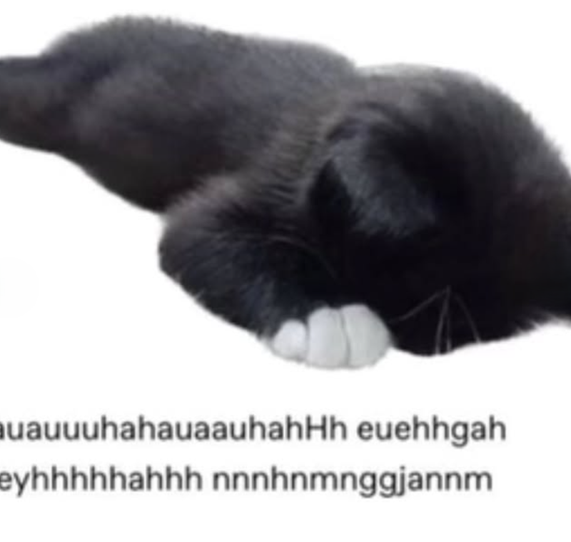 auauuuhahauaauhahHh euehhgah eyhhhhhahhh nnnhnmnggjannm