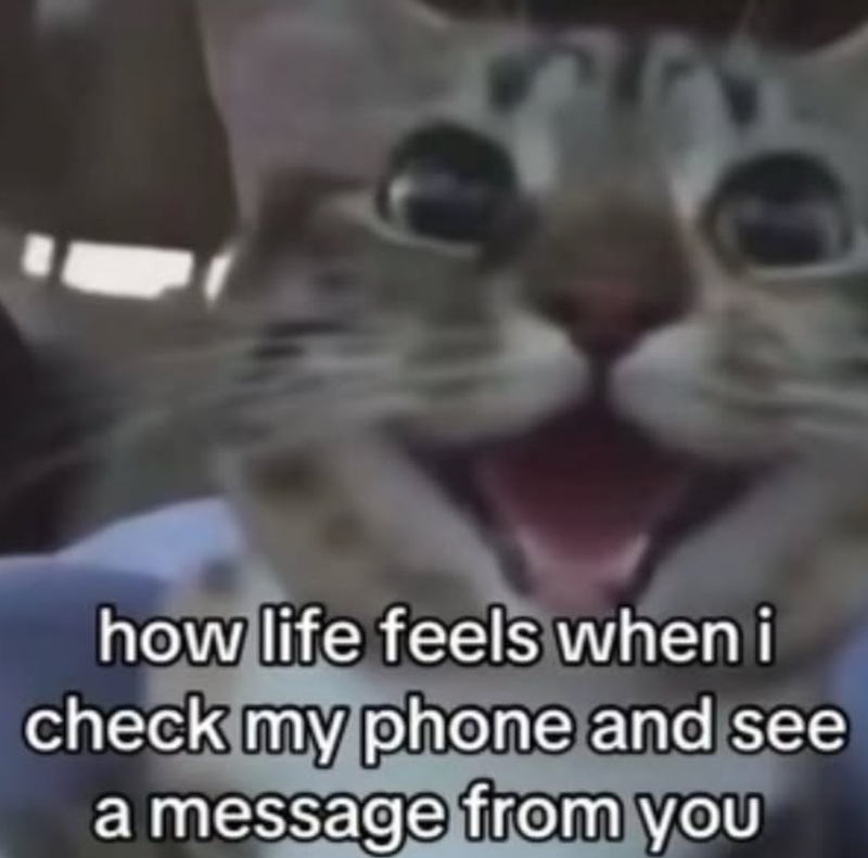 how life feels when i check my phone and see a message from you
