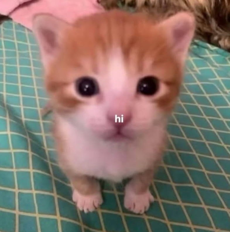 hi