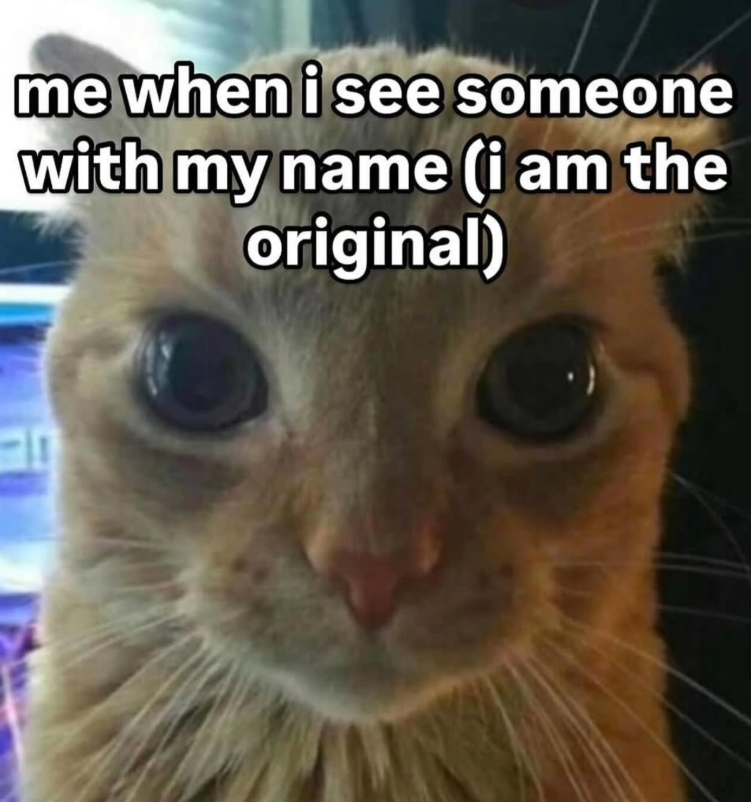 me when i see someone with my name (i am the original)