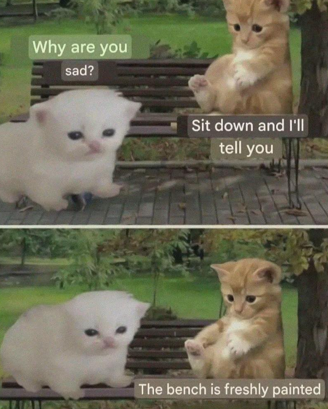Why are you sad? Sit down and I'll tell you The bench is freshly painted