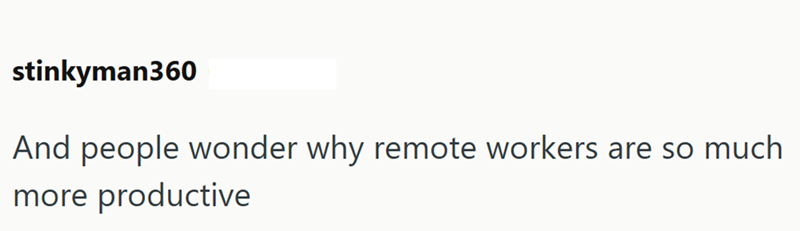 stinkyman360 And people wonder why remote workers are so much more productive