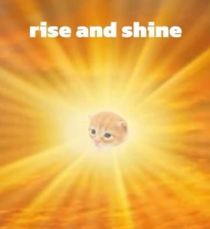 rise and shine
