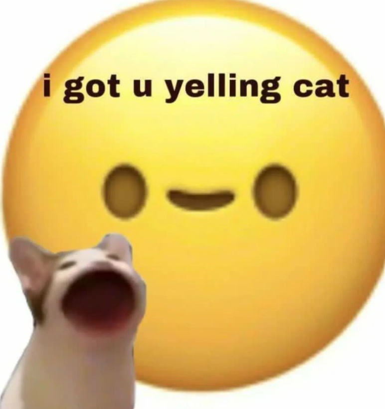 i got u yelling cat