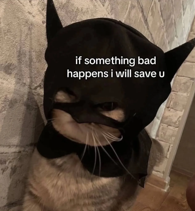 if something bad happens i will save u