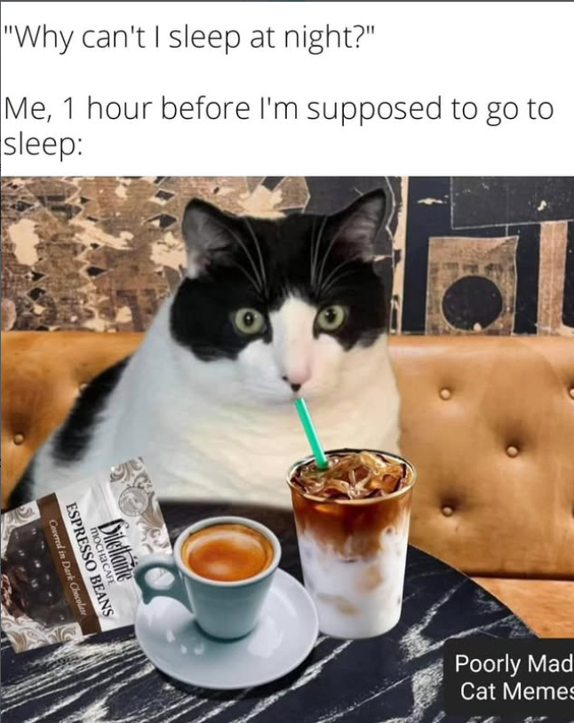 "Why can't I sleep at night?" Me, 1 hour before I'm supposed to go to sleep: MOCHA CAFE Dilettante Covered in Dark Chocolate ESPRESSO BEANS Poorly Mad Cat Memes